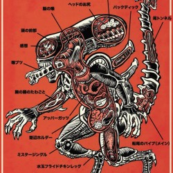 Анатомия чужого. Иллюстрация Брэда МакГинти