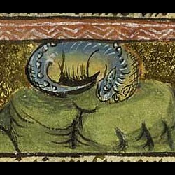 Asp из фландрской рукописи, 1450-1500