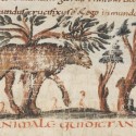 Анталоп. Рисунок из рукописи Городской библиотеки Берна (Cod. 318, fol.18r)