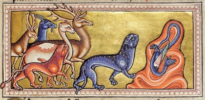 Звери, пантера и дракон. Абердинский бестиарий (MS24; Folio 9r), Англия, XII век