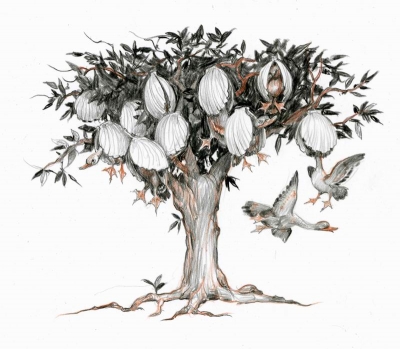 Берникловое дерево. Иллюстрация Дениса Гордеева к бестиарию Сапковского