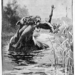 Буньип. Иллюстрация из "Illustrated Australian news" (1890)