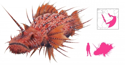 Каспилли. Иллюстрация с сайта "A Book of Creatures"