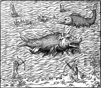 Каспилли. Иллюстрация из книги Андрэ Теве "La cosmographie universelle"