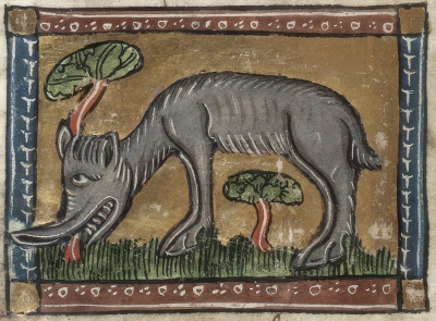 Катоблепас. Изображение из трактата "Цветы природы" Якоба ван Маэрланта (примерно 1340-1350 годы)