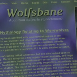 Кадр 2 из сериала "Волчонок" (Teen Wolf). 1 сезон, 1 серия