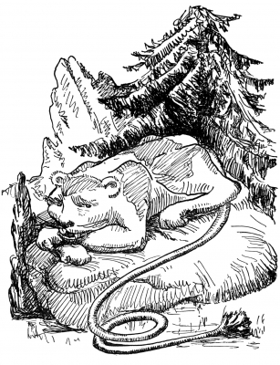 Дингмол или колотопозад. Иллюстрация Маргарет Рэмси Трайон из книги "Устрашающие твари"