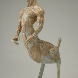 Гусиный кентавроид. Анатомическая скульптура Масао Киношиты