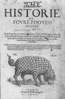 Горгон, он же катоблепас. Титульная страница "Истории четвероногих животных" Эдварда Топселла, 1607 год