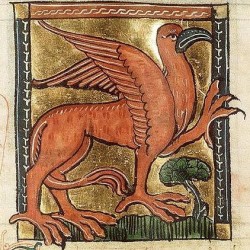 Красный грифон. Изображение из средневекового бестиария