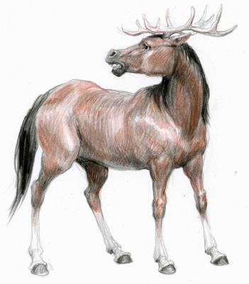 Гиппоцерв (Hippocervus). Иллюстрация Дениса Гордеева к бестиарию Сапковского