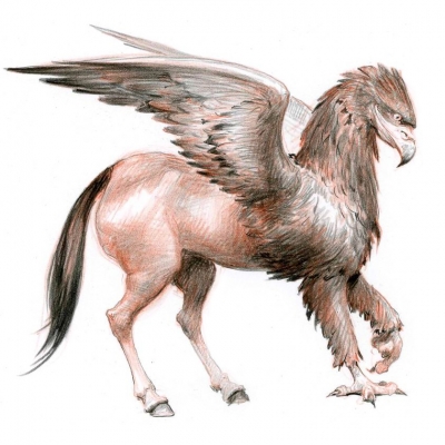 Гиппогриф (Hippogryf). Иллюстрация Дениса Гордеева к бестиарию Сапковского