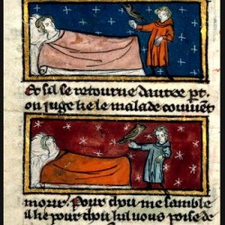 Каладрий на рисунке из средневекового бестиария