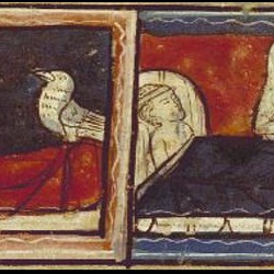 Каладрий. Иллюстрация из средневекового бестиария