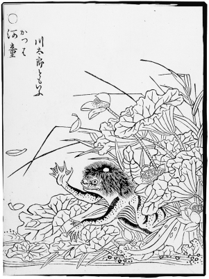 Каппа. Иллюстрация Ториямы Сэкиэна