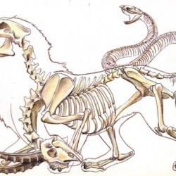 Скелет химеры. Карандашный рисунок