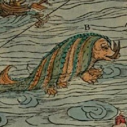 Морское чудовище (возможно, хафгуфа) на морской карте Олафа Магнуса (Olaus Magnus)