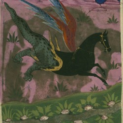 Арабский драконий конь. Иллюстрация из средневековой рукописи.
