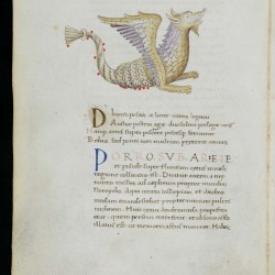 Созвездие козерога в средневековом манускрипте