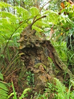 Лесной дух. Скульптура Бруно Торфса