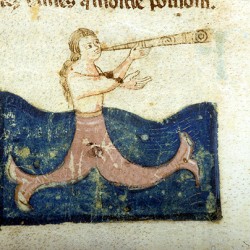 Сирена, играющая на трубе. Рукопись Моргановской библиотеки Manuscript. M.459, fol.8r