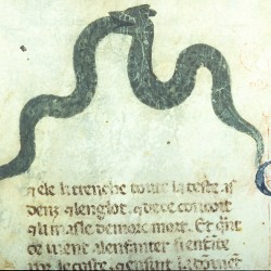 Совокупляющиеся через рот гадюки (Рукопись Моргановской библиотеки Manuscript. M.459, fol.7r)