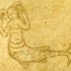 Сирена (Рукопись Моргановской библиотеки MS. M. 0814, fol. 61v.)