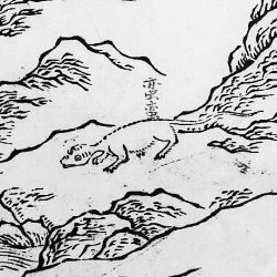 Маньмань. Иллюстрация из "Каталога гор и морей"