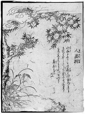 Дерево дзиммэндзю. Иллюстрация Ториямы Сэкиэна