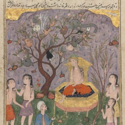 Вероятно, дерево вак-вак на ирано-персидской иллюстрации XVI века к сочинениям Казвини