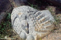 Каменная птица из парка скульптур Лоанго