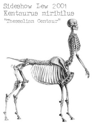 Скелет кентавра. Анатомический рисунок Лью Лашмита