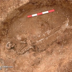 Скелет русалки в археологическом раскопе 