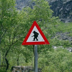 Дорожный знак "Осторожно, тролли!"