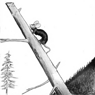 Вапалузи. Иллюстрация Кёр Дю Буа из книги "Устрашающие твари промысловых лесов" (1910)