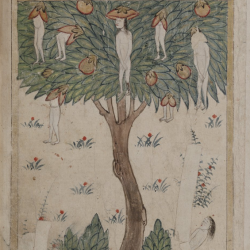 Дерево Вак-вак с арабского манускрипта XV века "Китаб ал булхан"
