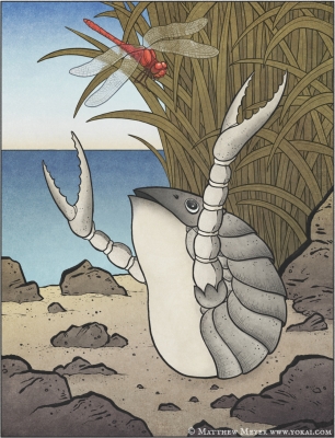 Ёфуку. Иллюстрация Мэтью Мэйера